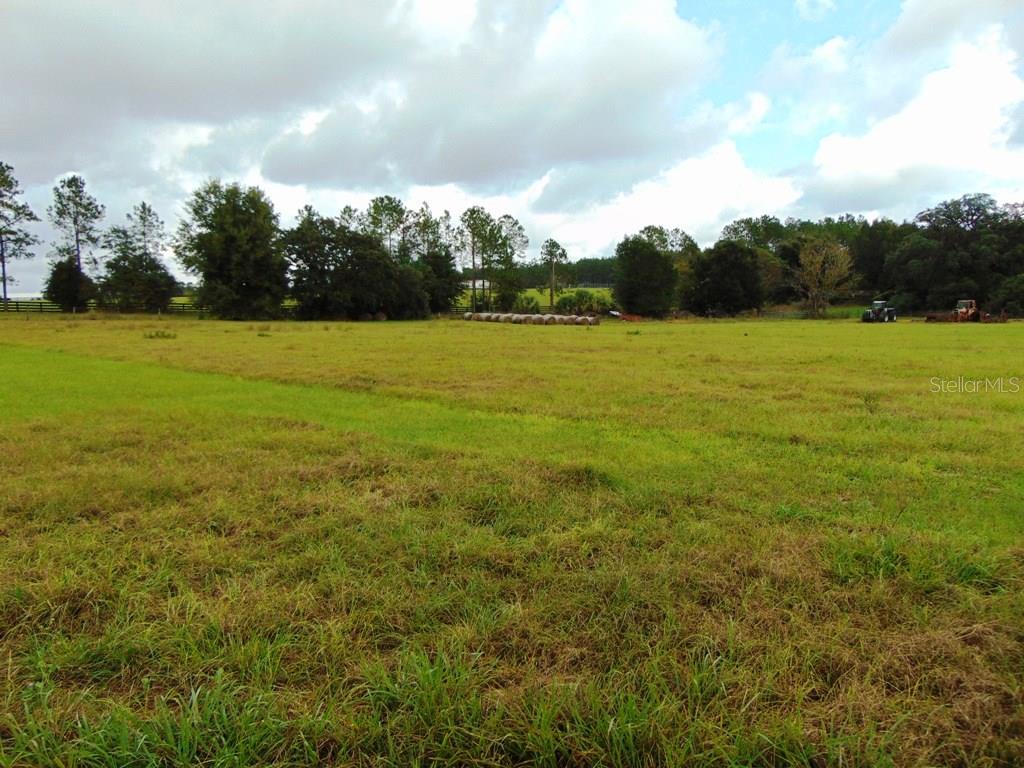 87c9d9bc-2836-499d-b294-c8aa8b150a38 33916 COUNTY ROAD 437 ,SORRENTO,32776